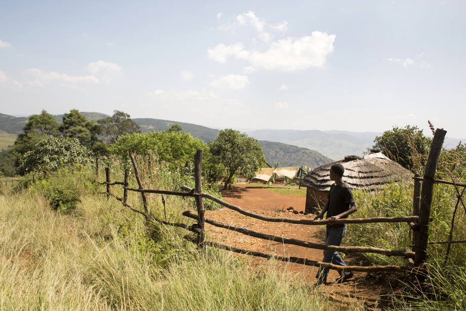 Swaziland nỗ lực khôi phục hoạt động sản xuất nông nghiệp